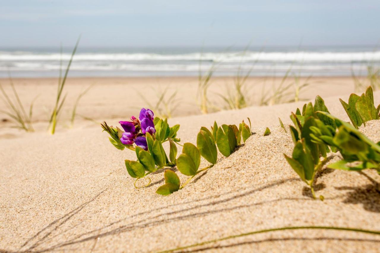 Shearwater Inn Lincoln City Esterno foto